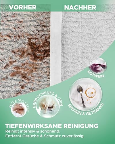 sauberland® 1L Waschsauger Polsterreiniger Konzentrat – Reinigung Polster & Auto – Reinigungsmittel Nasssauger… – Ansicht 3