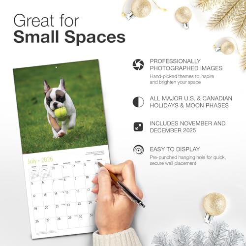 Image of RED EMBER French Bulldog Puppies 2026 Mini Wall Calendar 12 Month | 7 inch x 14 inch Open | Thick & Sturdy Paper | Giftable | Cute Frenchie Puppy Dog Calendar 2026