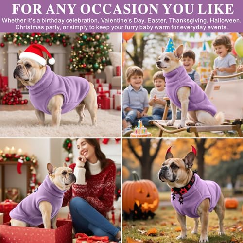Oslueidy Hundemantel Fleece Hunde Jacken Hund warme Mäntel Winter Haustier Kleidung Hoodies Pullover Jumpsuit Hund Schnee Outfits Weste für kleine mittlere große Hunde XS-XXL (Lila, XXL)