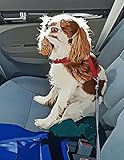 Journal Notebook - Blenheim Cavalier King Charles Spaniel in Car - 200 pages, wide-ruled, paperback