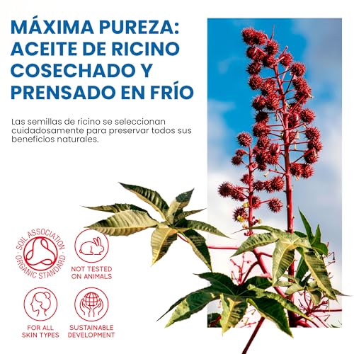 Aceite de Ricino Puro 100% Prensado en Frío | Estimulador de Crecimiento Cabello y Barba | Fortalecedor de Uñas | Reductor de Ojeras | Hidratante para Piel, Amarillo, 500 ml