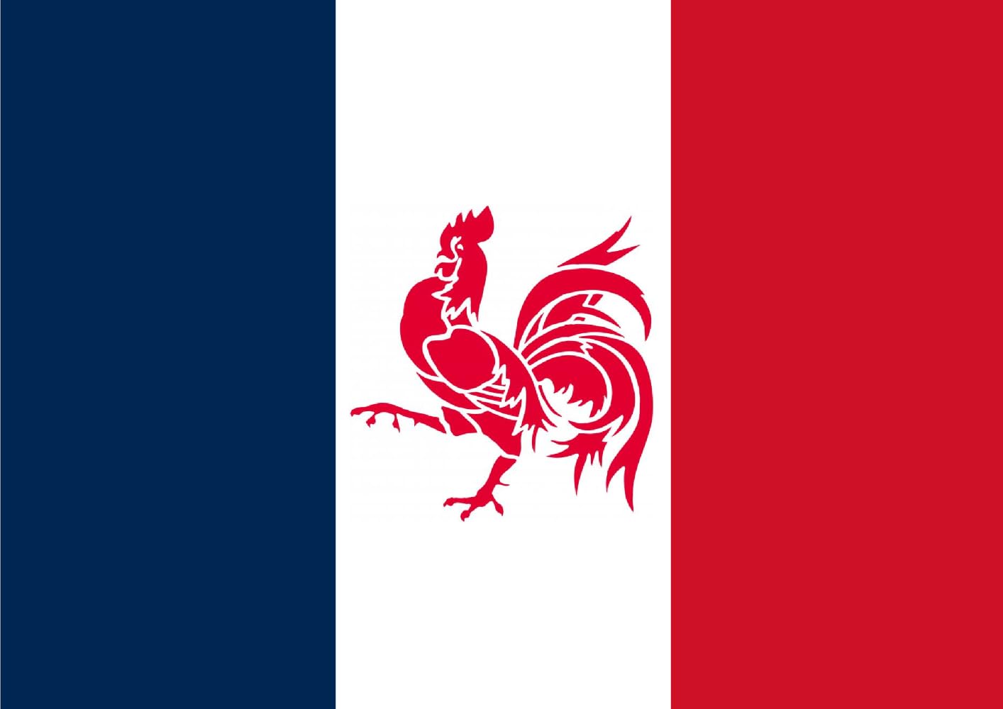 Drapeau France coq wallon grand format tricolore extérieur intérieur