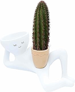 Lazy Guy Planter,Funny Plant Pots Cactus Flower Novelty Succulent Plants...