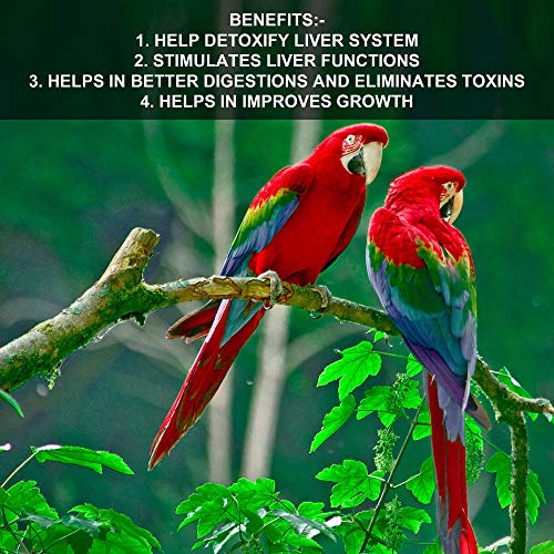 Image of Pet Care International (PCI) Bird Supplement Liv-O-Care Helps in Detoxify Liver System for Healthy Bird Healthcare (100ML, Liv-o-Care)