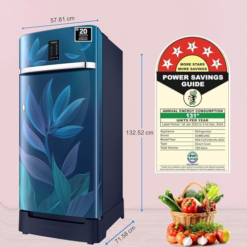 Image of Samsung 189 L, 5 Star, Digi-Touch Cool with Display, Digital Inverter Direct-Cool Single Door Refrigerator (RR21C2F259U /HL,Paradise Bloom Blue) Base Stand Drawer