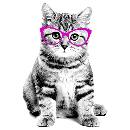 Girl's Lost Gods Fluffy Kitten in Pink Glasses T-Shirt2