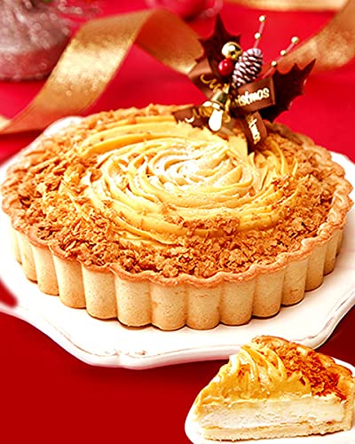  NX}XP[L 1223 ͂ ܂ `[YP[L ^g \ 2025 [ 5TCY XM