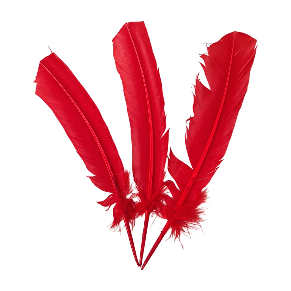 Turkey Feather Red, Pack of 3