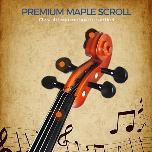 Violin For Beginners, CVN-300 Solidwood Ebony Fitted Violin with Strings, Beginner Starter Violins Kit For Student w/Hard Case, Rosin, Bow, Stringed Musical Instruments, Size 4/4 (Full Size) (4/4)