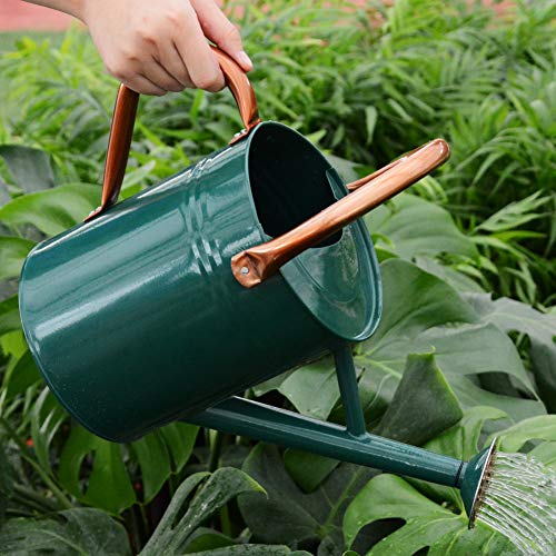 yourjoy Steel Watering Can Sliver Galvanized Steel Watering Can with Copper Accents,Removable Rosette-Diffuser,One-Gallon Green - Thumbnail 3