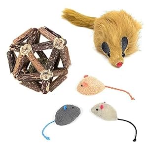 Cat Ball Vine Sticks Catnip Exquisite Ball Pet Biting Toy Teeth Care with Plush Toy Mouse Combo