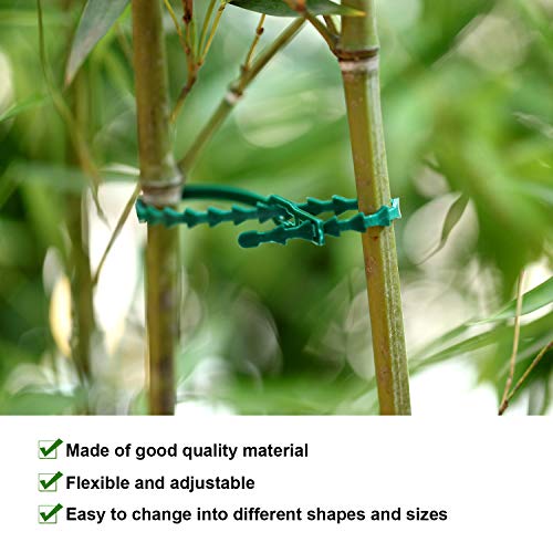 Cinta ajustable para plantas 200 piezas WILLBOND miniatura 4