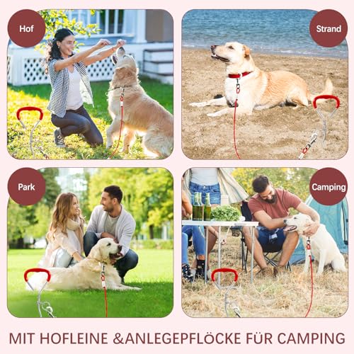 Anlegepflock mit Leine, Anlegepflöcke für Camping Hund, Hundehofpfahl mit Kabelbinder, 6m Hundekette für Camping, Hundetrainingsleinefür mittel Große Hunde