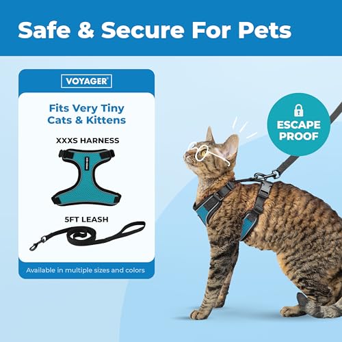 Image of Voyager Escape-Proof Step-in Lock Cat Harness & 5ft Neoprene-Handle Leash Set All-Weather Mesh with Reflective Stitching for Small to Large Cats by Best Pet Supplies, Black Trim-Turquoise (327), XXXS