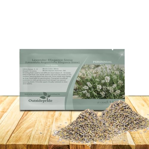 Outsidepride Ellagance Snow Lavender Seeds - 50 Pcs...