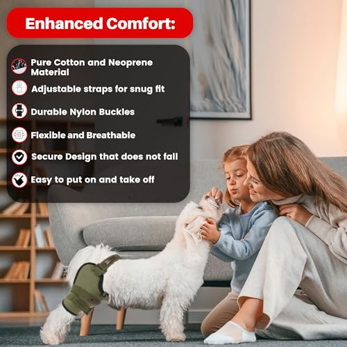 Image of Dog Knee Brace for Male /Female Dogs - Neoprene Support Dog Leg Braces for Back Leg with Adjustable Straps and Belt - Torn ACL Hind Leg, Ligament Injury, Joint Pain and Stability (Medium, Right)