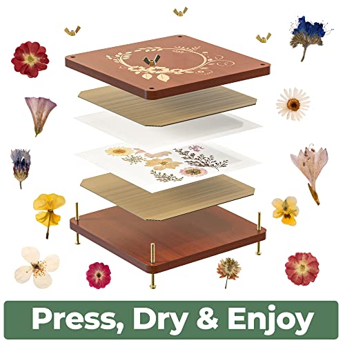 Havenstock HH195893305247 Premium Extra Large Wooden Flower Press Kit thumb #3