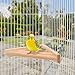 Litewoo Bird Perch Corner Platform Stand Shelf for Birds Budgie Parakeet Cockatiel Conure Cockatoo（2PC）