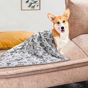   1-Pack-3-Dog-Blankets-for-Small-Dogs-Soft-Fleece-Dog-Blanket-Fluffy-Pet-Blanket-Warm-Sleep-Mat-Grey-Cute-Paw-Print-Puppy-Cat-Blanket-Flannel-Throw-for-Washable-Dog-Bed-Blanket-for-Dogs-23X16