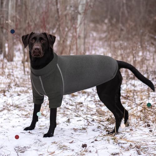 IECOii-Hundepullover-fur-Madchen-Fleece-Grose-M-grau-warmes-Winter-Sweatshirt-fur-mittelgrose-Hunde-Mops-Dackel | Dealmeister.io Alt tag für bilder post titel