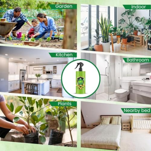 Image of Ant Repellent 250ml | 24Hr Trail Block | Home & Kitchen