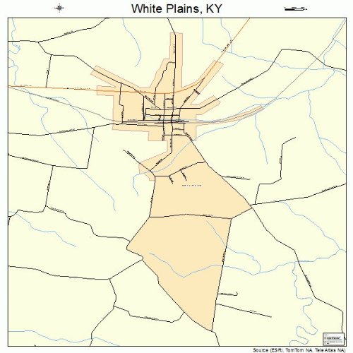 Large Street & Road Map of White Plains, Kentucky KY Printed poster