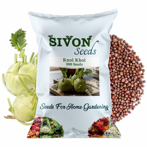 Image of SIVON Knol Khol (Ganth Gobhi) (300 Seeds) Vegetable Seeds for Home Garden, Organic & Hybrid, Perfect for Home Gardening, Planting For Pots and Patio