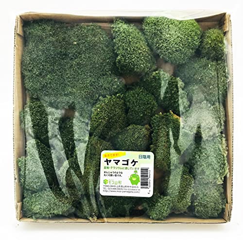 モス山形 盆栽用コケパッケージ ヤマゴケ 25cmX25cm MY-2