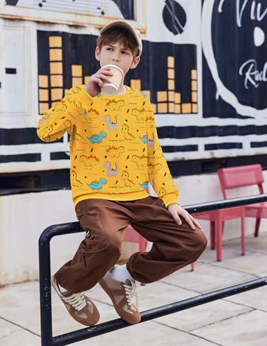 Arshiner Toddler Boy Crewneck Sweatshirt Long Sleeve Pullover Graphic Shirts for Kid Fall Tops Tees 2-10 Years4