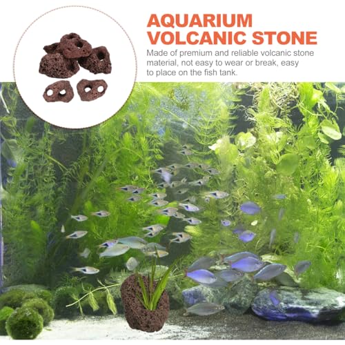 Image of 6 pcs Lava Rock for Aquarium, Volcanic Rocks Small Dark Brown Volcanic Pumice Stones, Aquarium Stones Aquascaping for Fish Tank Decoration, 3.93x2.75x1.57inch