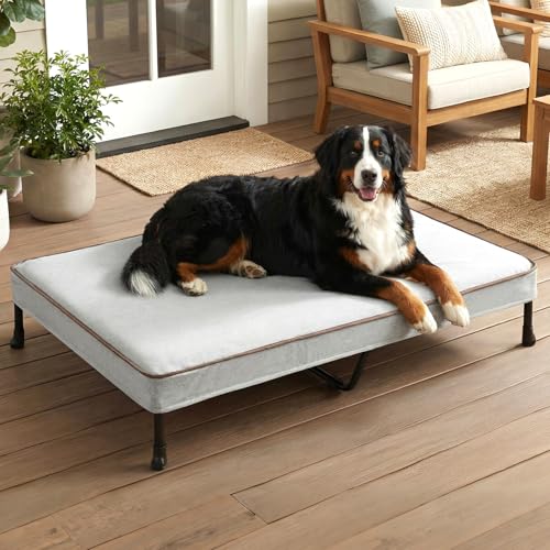 Veehoo Elevated Dog Bed with Waterproof Cushion, Cooling Raised Dog Beds with Padded Top, Washable Outdoor Dog Bed, Orthopedic Pet Cot for Indoor & Outdoor, Extra Large Dog Bed 53' x 37.5', Dark Grey
