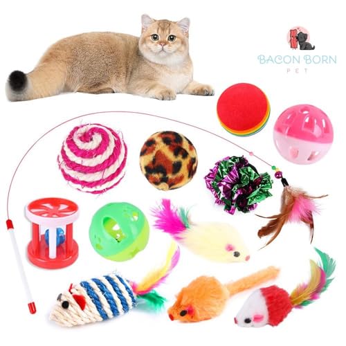 Kit 7 Brinquedos Interativos Para Gato Com Varinha Diversão Bacon Born Pet