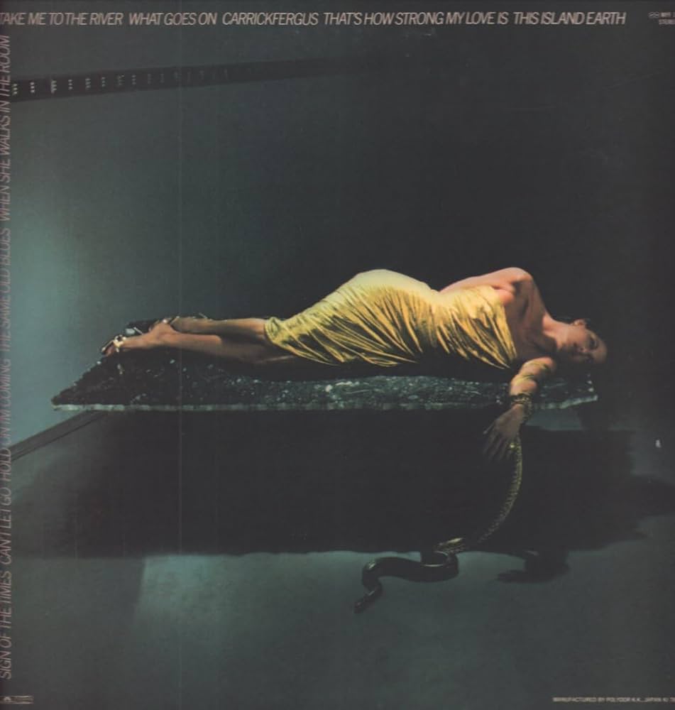 欧LP Bryan Ferry The Bride Stripped Bare BFLP5 Virgin Records, UMC 未開封 /00400 The Bride Stripped Bare (Vinyl): Bryan Ferry, Bryan Ferry