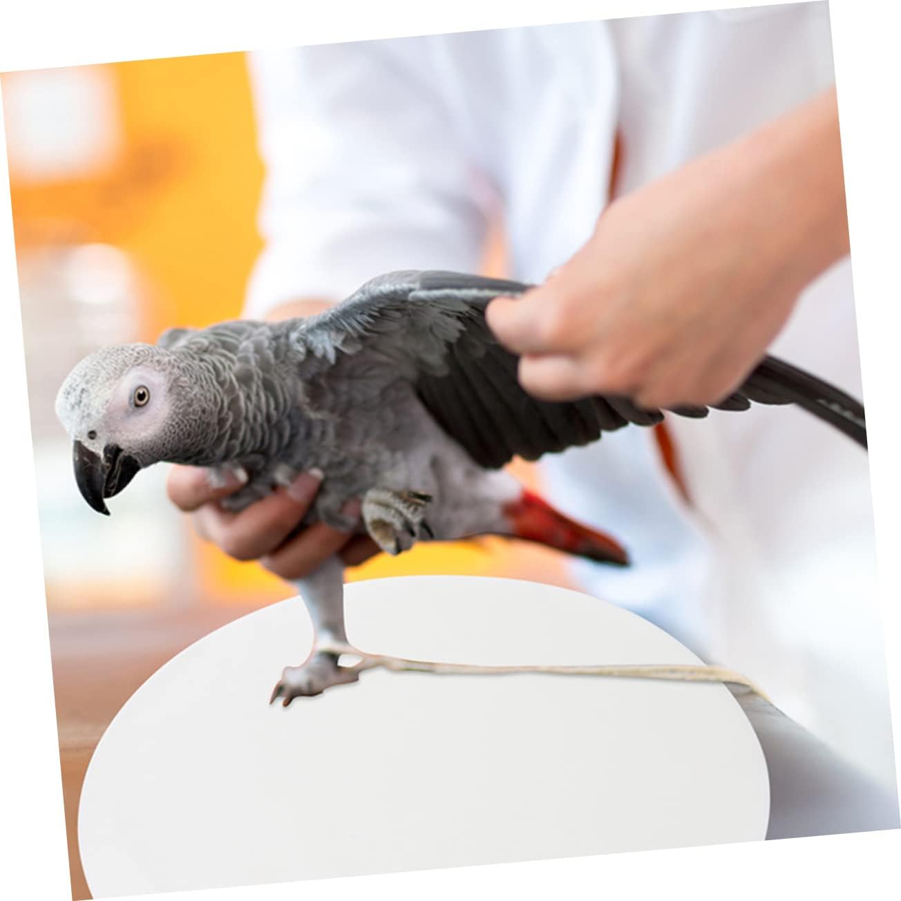 Totority 100pcs Bird Cage Liner Pads Round Absorbent Cushions for Parrot Cages Diameter Easy to No Odor Safe for Pet Birds Simplifies Maintenance