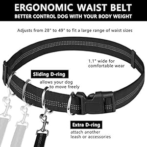 Hands-Free-Dog-Leash-Waist-Leash-for-Dog-Walking-Running-Leash-with-Zipper-Pouch-for-Medium-Large-Dogs-Dual-Handle-and-Retractable-Bungee-Hands-Free-Leash-for-Training-Jogging-Hiking - Cucciolini Doodles   Hands-Free-Dog-Leash-Waist-Leash-for-Dog-Walking-Running-Leash-with-Zipper-Pouch-for-Medium-Large-Dogs-Dual-Handle-and-Retractable-Bungee-Hands-Free-Leash-for-Training-Jogging-Hiking