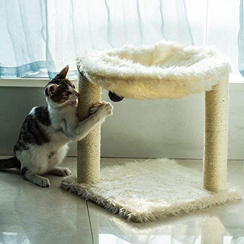 Meuble pour chat design avec tapis de grattage pour salon cocooning