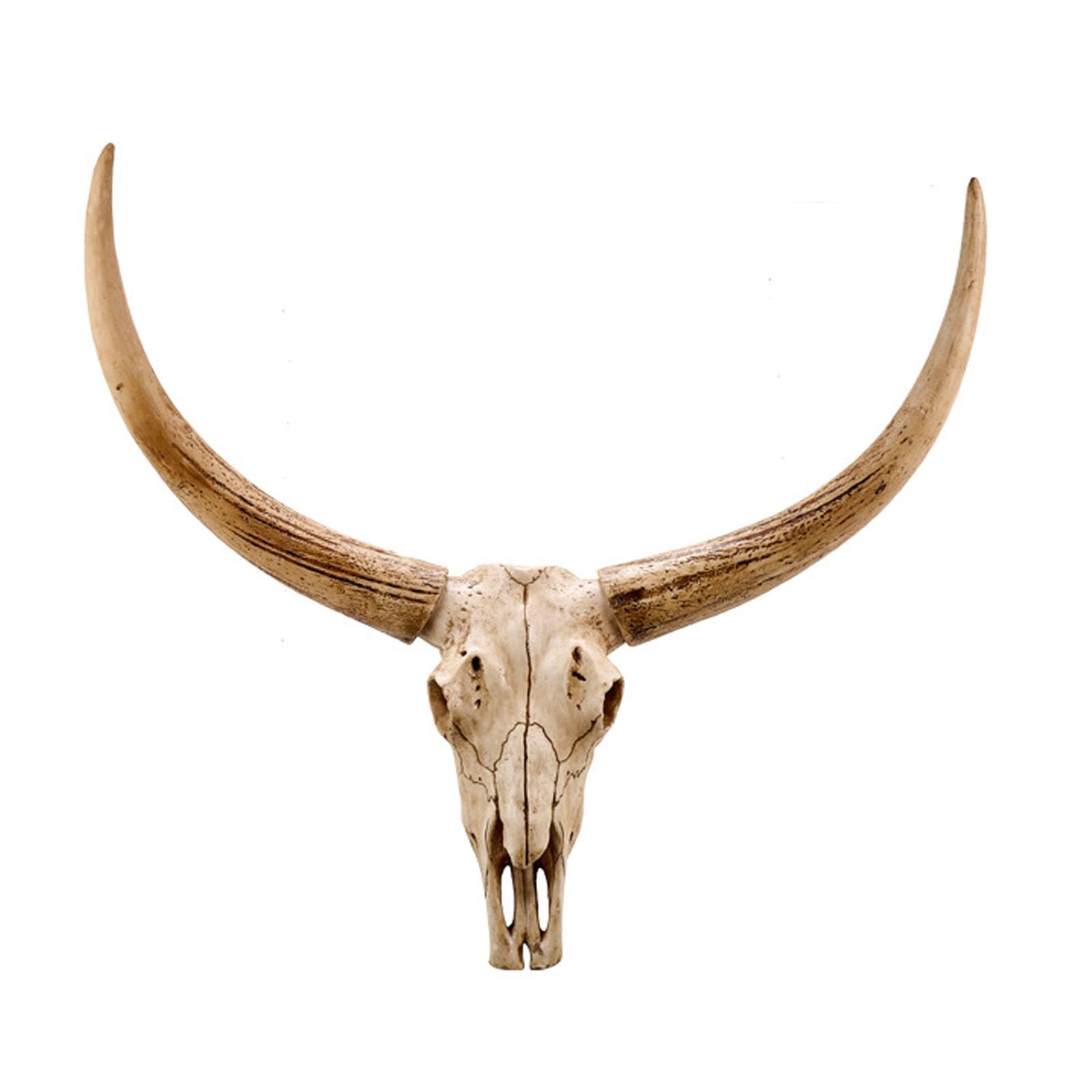 Cow Skull Wall Decor, Long Horn Cow Skull Wall Hanging Decor,Wall Hanging Faux Longhorn Skull,Faux Taxidermy Animal Head Handmade Wall Decor Home Sculpture,Faux Bull(Size:68x60cm,Color:C-Brown)