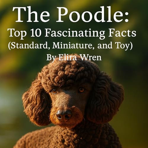 The Poodle [Written by Elira Wren] episode artwork