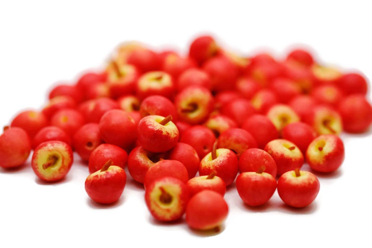 20 Red Apple Dollhouse Miniatures Food Kitchen by Cool Price