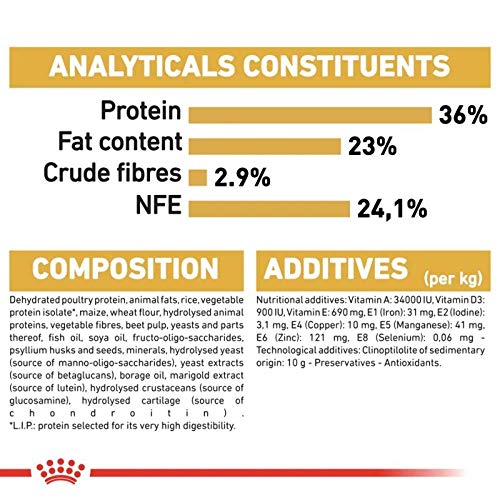 ROYAL CANIN Maine Coon Kitten Cats Dry Food