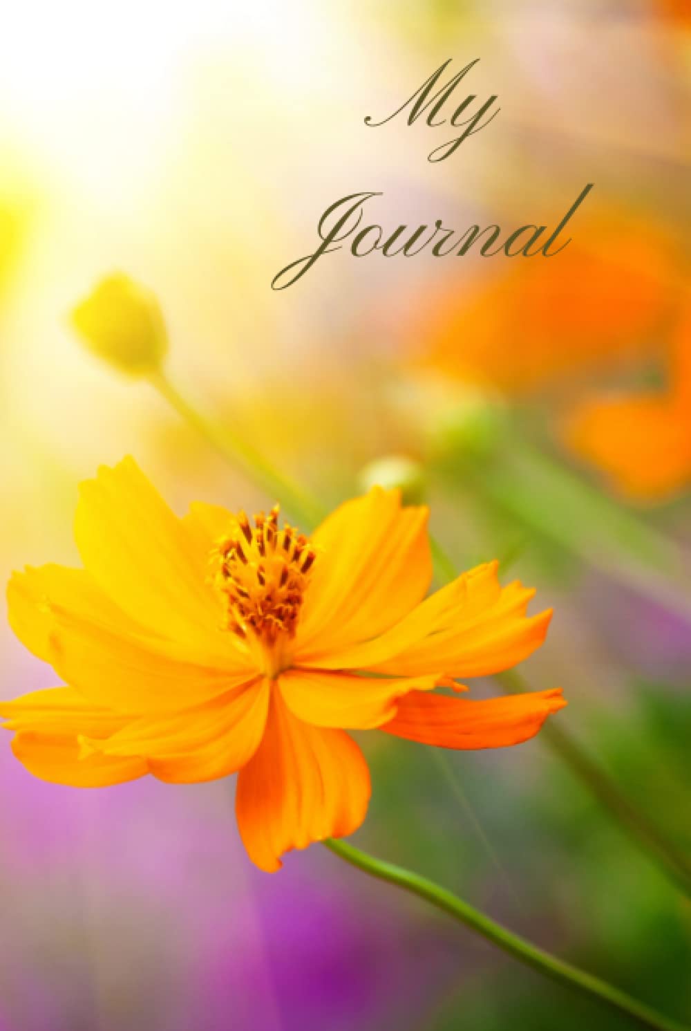 My Journal: My Journal 6x9 Journal With Sun And Flowers With 100 Color Pages      Hardcover – October 24, 2021