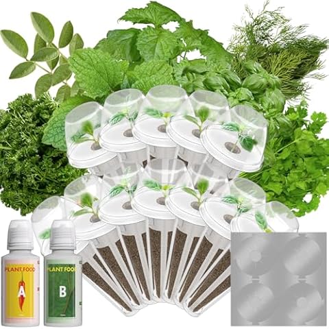 LYKOCLEAN Herb Seed Pods for AeroGarden, Ahopegarden, iDOO MUFGA Hydroponics Growing System Indoor Gardening, 400+ Seeds, Basil, Cilantro, Dill, Parsley, Mint, Shiso, Liquorice(12-Pods) Cover
