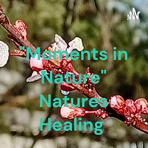 "Moments in Nature" Natures Healing cover art