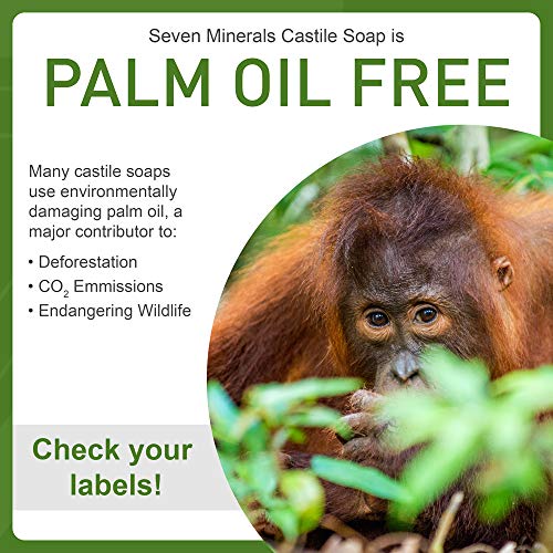 EWG Verified Castile Soap 33.8 fl oz - No Palm Oil, GMO-Free - Unscented Mild & Gentle Liquid Soap For Sensitive Skin & Baby Wash - All Natural Vegan Formula with Organic Carrier Oils