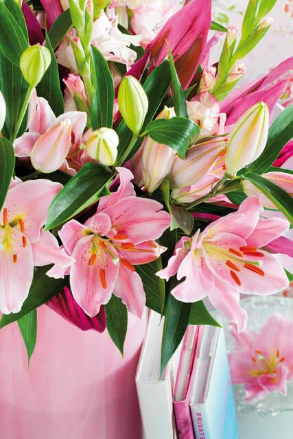 オリエンタル百合　プー 大きなピンクのユリの花　苗球根 flower-net_z240718010