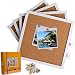Cork Board Bulletin Board 12 X 12, White Framed Cork Tiles, Small Corkboards for Walls, Squares Thick Pin Board with 16 Push Pin Wood Clips, 4 Pack