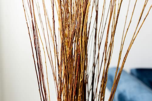 Green Floral Craft | Dried Asian Willow Decorative Branches - Perfect Home Decoration And Floor Vase Filler (4-5 Feet, Natural) #TOP5