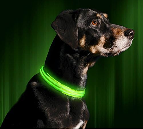 Illumiseen led dog collar Clearance