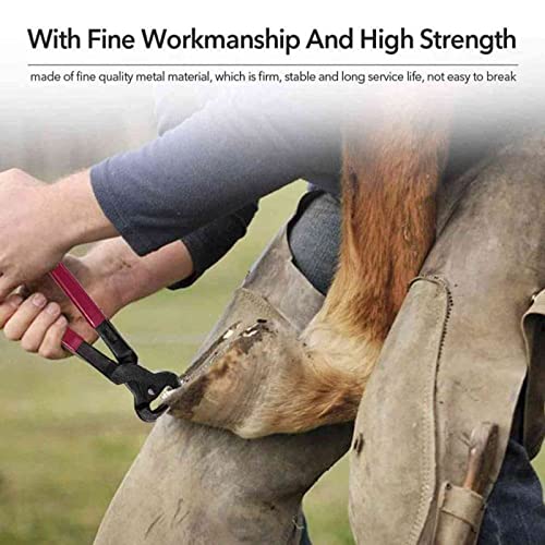 Hoeftang, Hoefijzertrimmer, Trimschaar Nagelknippers Hoeftrimmers, Paarden Hoeftrimmergereedschap Paarden Metaalschaar Hoefsmeden. Hoefnippelsnijder Duurzaam en handig - Afbeelding 3