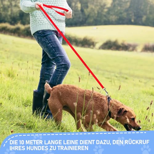 Hurifeng Schleppleine 10m für Hunde – Robuste Hundeleine für Training & Outdoor – PP-Material mit Zinklegierung D-Karabiner – Für Kleine bis Große Hunde (Rot)